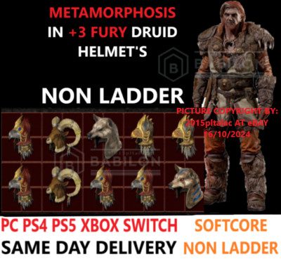  PC PS4 PS5 XBOX SWITCH METAMORPHOSIS +3FURY DRUID NL DIABLO 2 RESURRECTED D2R