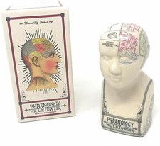 Antique Style Small Phrenology Head Crackle Glaze Curiosity Cabinet Unusual Gift