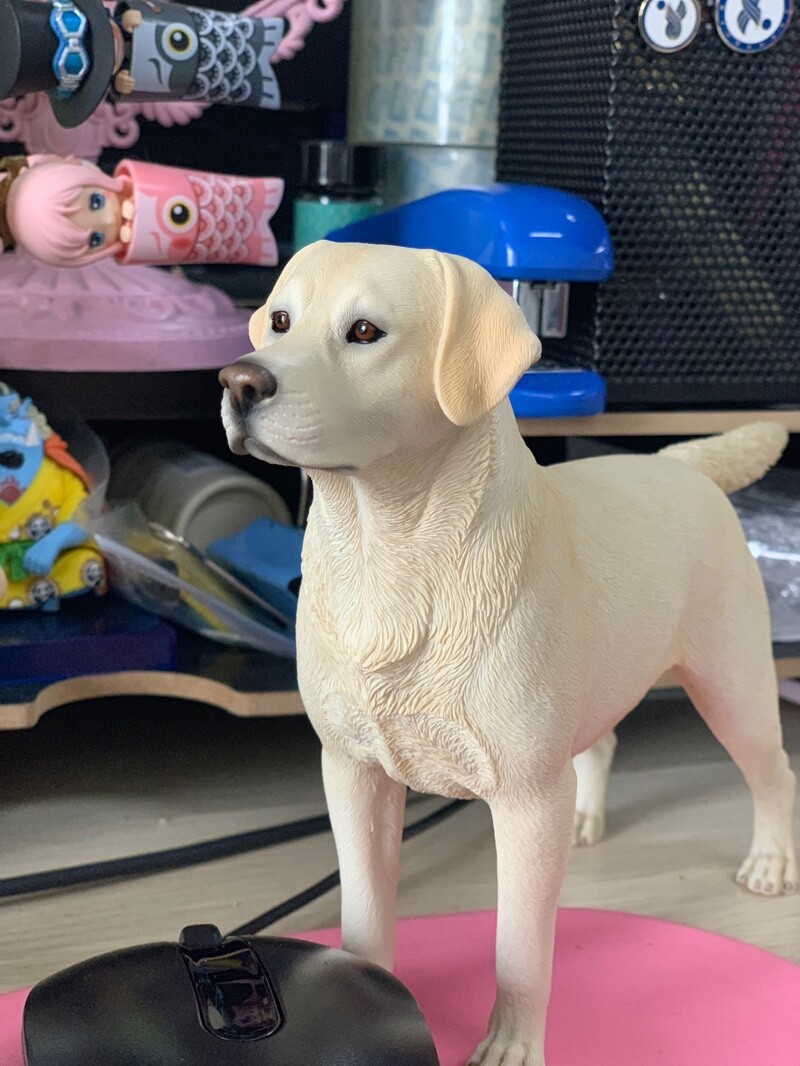 Mr.Z 1/6 Labrador Retriever Loyal Dog Pet Figure Animal Decor