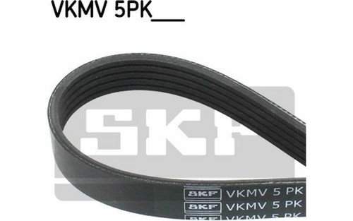 Courroie Poly-V SKF VKMV 5PK1030 Au Prix De 10.88 € | Achetez Sans Attendre