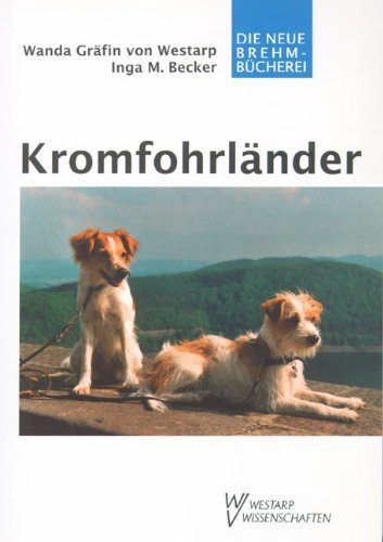 Kromfohrländer Inga Becker