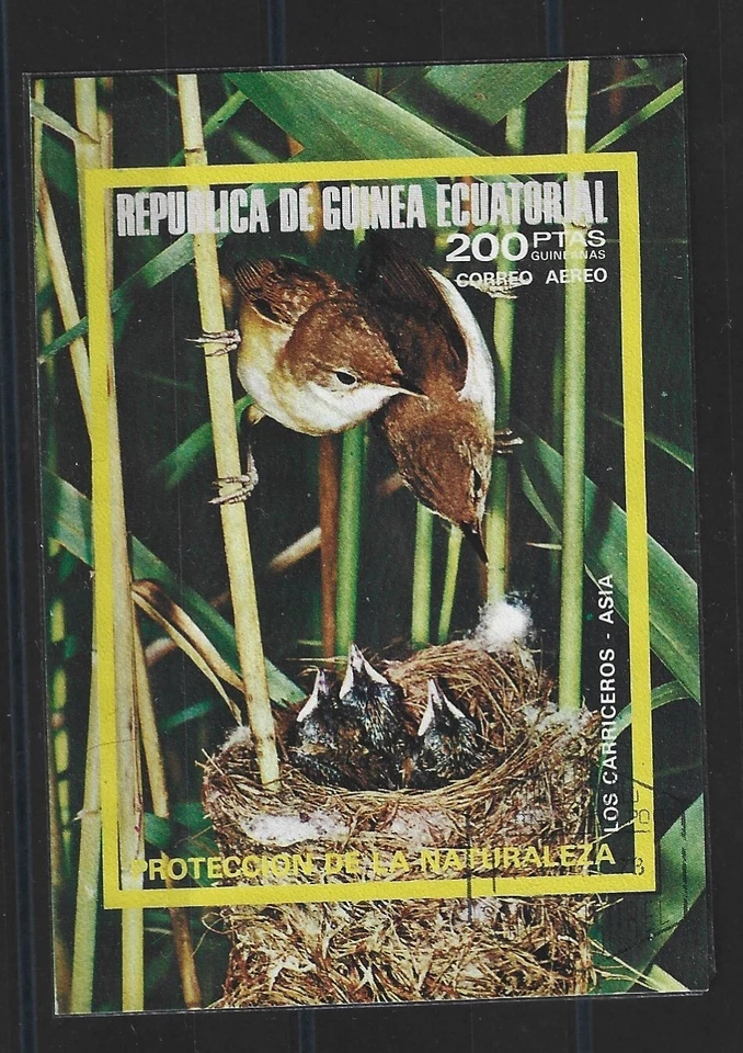 (BL036) Bloc Guinea Ecuatorial Proteccion Naturaleza Birds Oiseaux - Photo 1/1