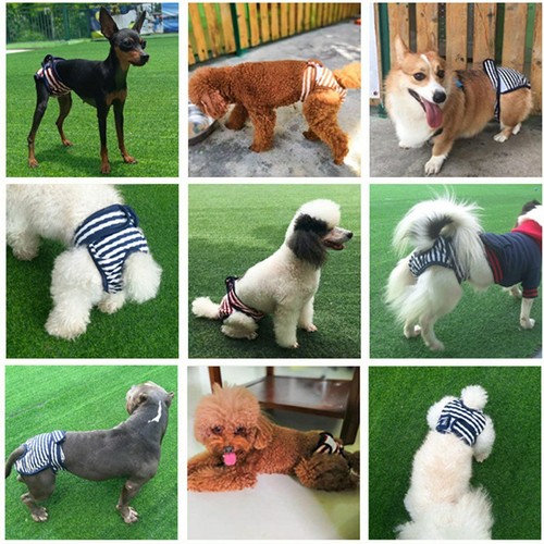 2 Pezzi Pannolini per Cani Maschio Femmina Riutilizzabili Involucri Pet Cucciolo Pannolino Biancheria Intima Taglia S-2XL - Foto 3 di 13