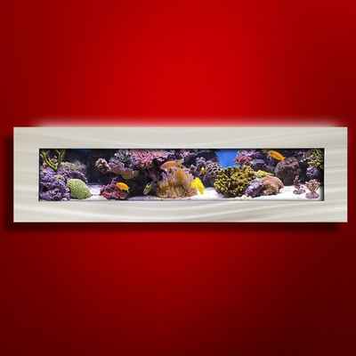 #ad NEW ORIGINAL AUSSIE AQUARIUM PANORAMIC BRUSHED ALUMINUM WALL MOUNTED FISH TANK $1599.95