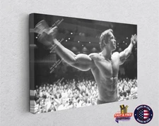 Arnold Schwarzenegger Gym Canvas Decor Motivation Art Muscle Fitness Print Sport