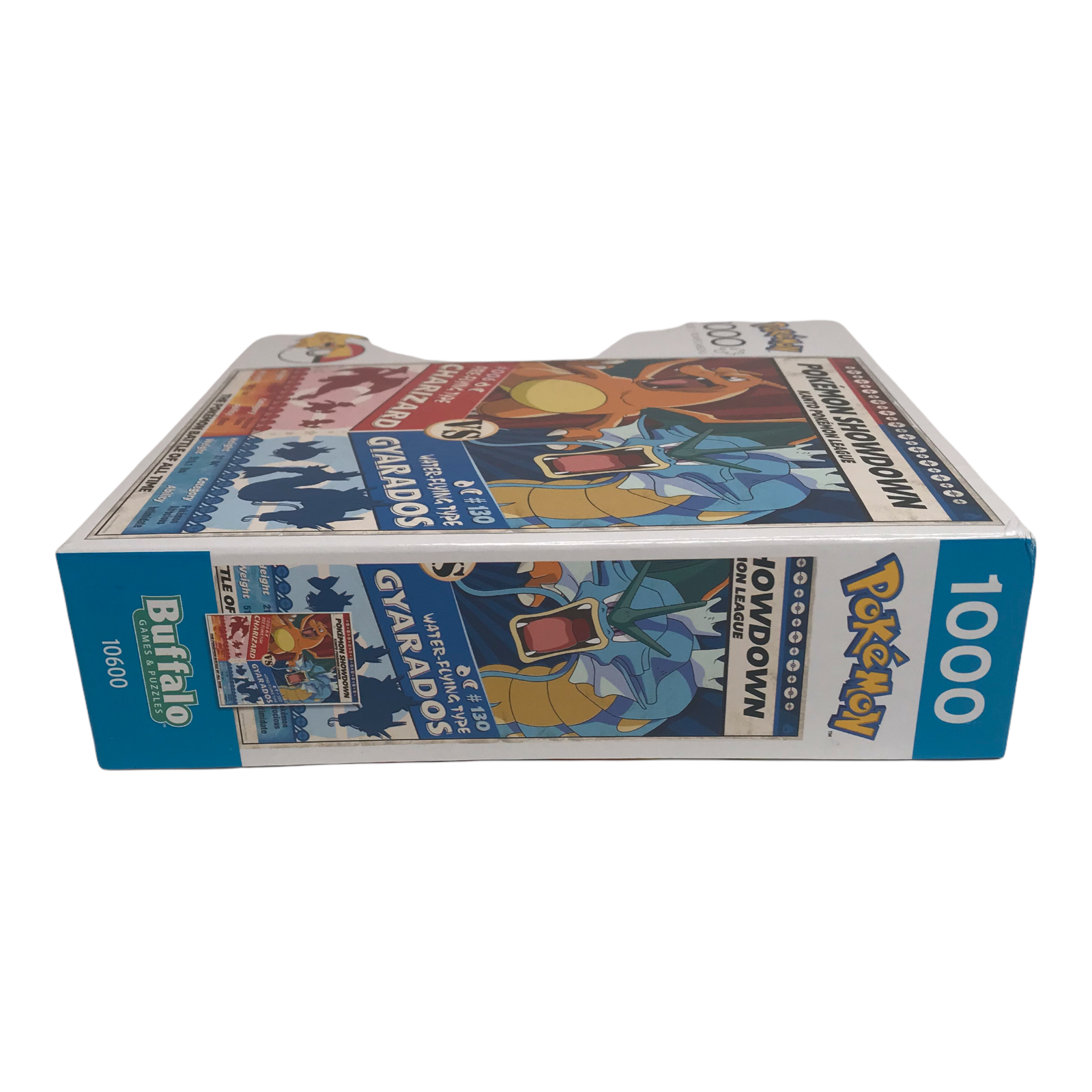 Pokemon Showdown, Charizard Vs Gyarados - Buffalo Games - 1000 Pieces :  r/Jigsawpuzzles