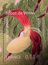 FRANCE 2005, timbre 3764, FLEURS, ORCHIDEE SABOT VENUS FLOWER neuf**, MNH STAMP
