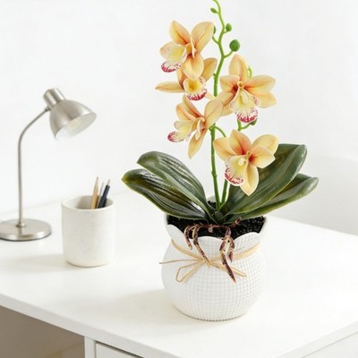 28 cm hoher Kunststoff Magnolie Blumentopf für Indoor Tischdeko Fotografie Requ