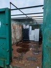 Foto 4 di 4