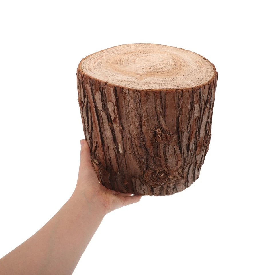  Tree Trunk Coffee Table Display Stand Wooden Embellishment Stump End - Image 3 of 4