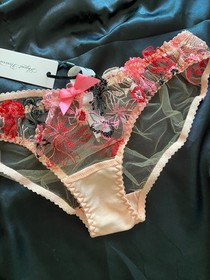 NWT Agent Provocateur Zuri Embroidered Tulle Brief Panty Pink Size 2
