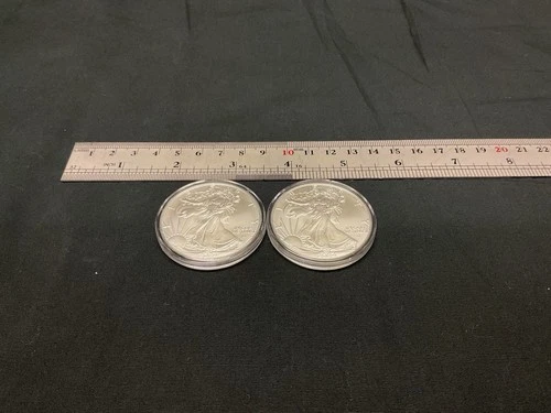 Lot Of 2 American Silver Eagle BU 1 Troy Oz 2024 .999 Fine Silver Rounds