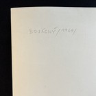 Foto 12 di 14