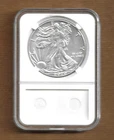 2020 American silver Eagle