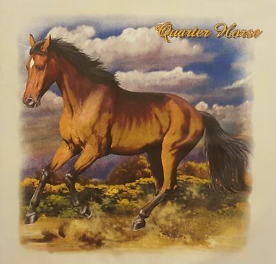 ALL AMERICAN OUTFITTERS HORSES QUARTER HORSE SHIRT #1257