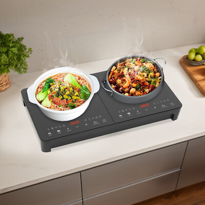 110V Double-head Induction Cookerp, Timing Induction Cooktop with