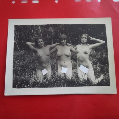 PHOTO THREE WOMEN IN THE CURIOUS FOREST M-60
