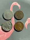 U.S. Coin Lot! Indian Head Cent Wheat Penny Liberty V & Buffalo Nickel. FREE S&H