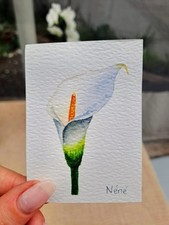 ACEO Original Watercolour Painting of 'White, green Lily Flower' 2.5x3.5 by Nene
