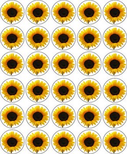 Yellow Sunflower Edible Printed Icing Cup Cake Topper Decorations