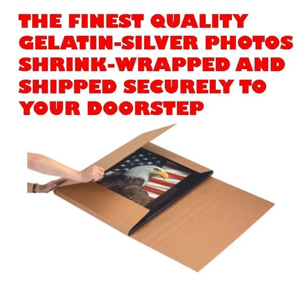 Фотография Роберты Педон с большой грудью ХУДОЖЕСТВЕННАЯ ОБНАЖЕННАЯ фотография девушки ломает ноги Tf251 - Изображение 2 из 2