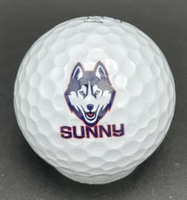 Sunny the Husky Logo Golf Ball (1) Vice Drive Pre-Owned