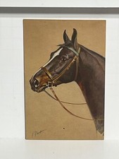 Postcard Horse Portrait Artist Signed Rivst A60