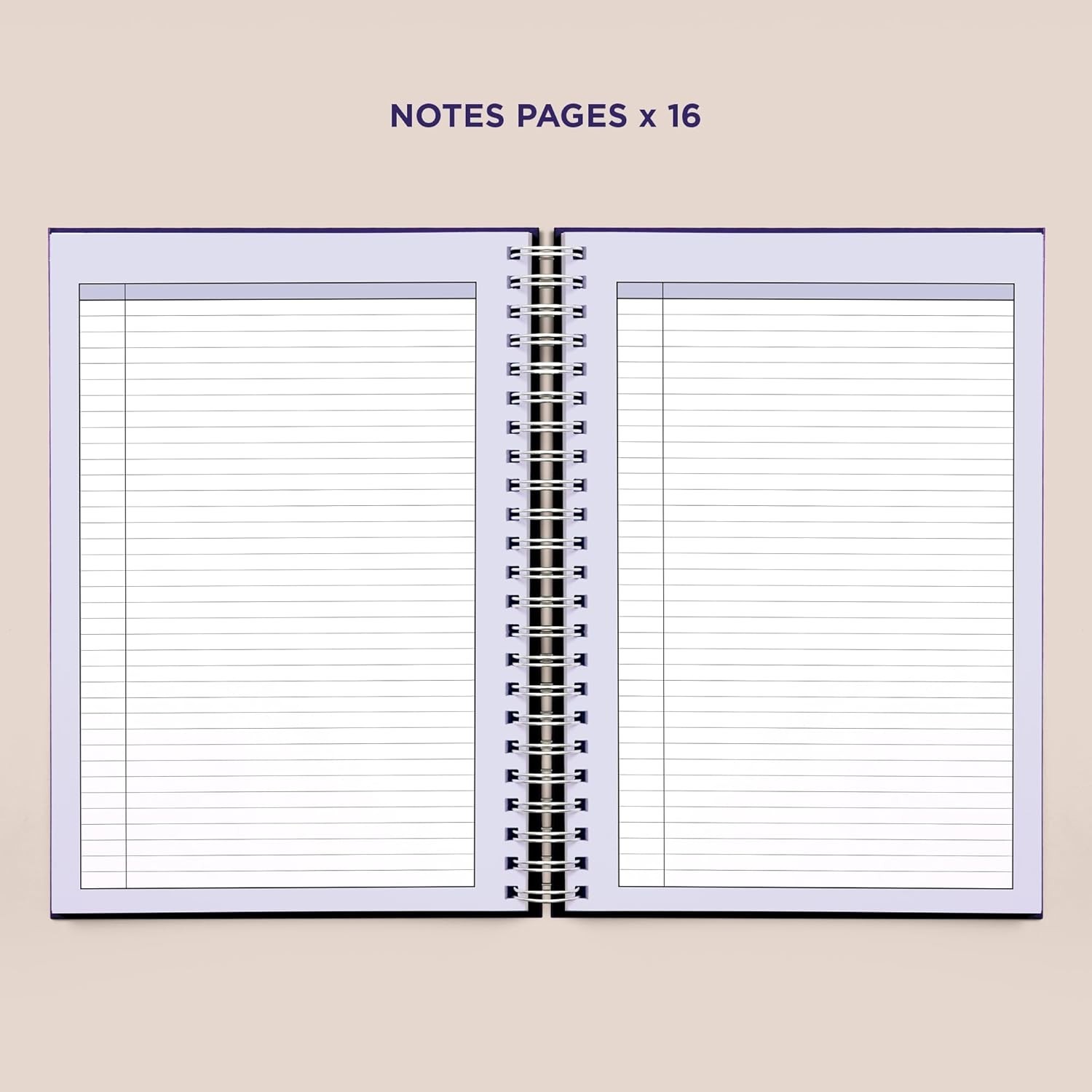 Slide 6