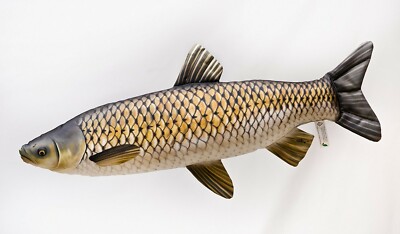 Coussin Poisson Réaliste Amour / Grass Carp - Idée Cadeau Pêcheur