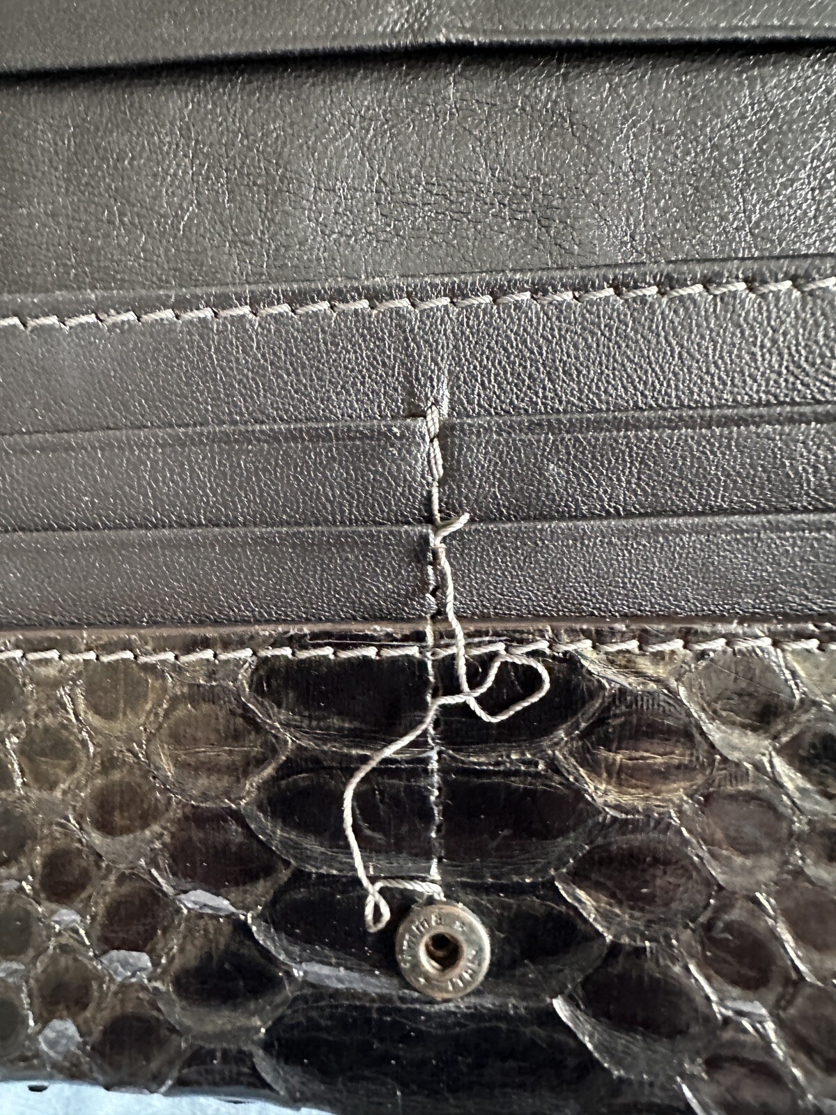 Zagliani Black Python Wallet - image 8