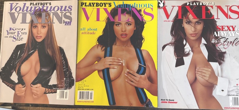 Playboy’s Voluptuous Vixens Special Edition 3 Issue Lot👀🔥