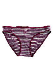Victoria's Secret Stretch Bikini Panty Sheer Purple