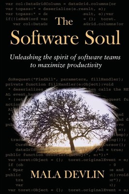 Mala Devlin | The Software Soul | Taschenbuch | Englisch (2009)