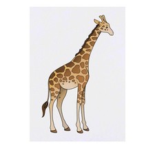 'Giraffe' Temporary Tattoos / Transfers TO00032348