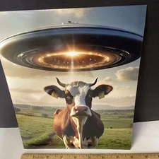 Alien UFO Cow Abduction AI Photograph 8“ X 10“ Halloween Sci Fi Fantasy Humor