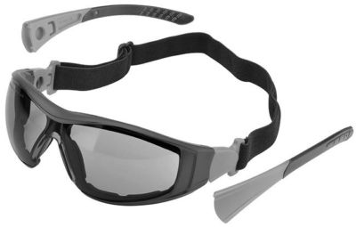 #ad #ad Delta Plus Go Specs II Safety Glasses Black Frame Gray Anti Fog Lens $17.09
