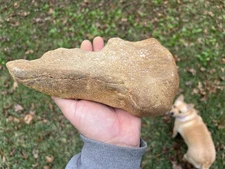 Texas Petrified Stone Fossil Mammoth Bone Rare Unique Cabbing Material