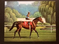 JOHN HENRY  15 x 12 Photo  Horse Racing  1981 ARLINGTON MILLION  ARLINGTON PARK
