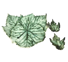 Green Ceramic Leaf Shape Dish Platter Handcrafted Signed 3-Piece Set