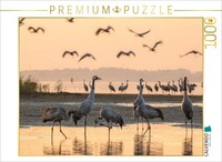 Calvendo Puzzle Cranes Standing In The Water At Their Roost | 1000 Pieces, Finis