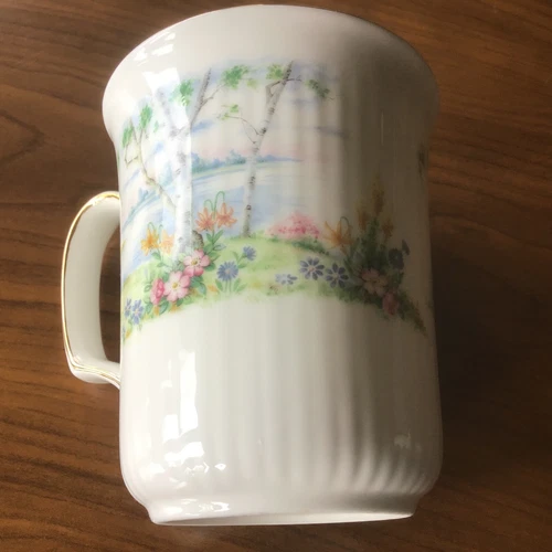 Vintage Royal Albert Silver Birch Coffee Mug Bristol Shape