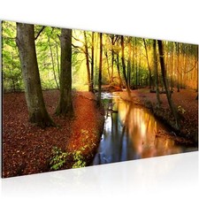 Wandbild Wald Landschaft Bild XXL Wohnzimmer Bilder 100x40 cm rot braun grau