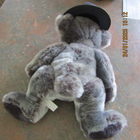 Bild 8 von 9