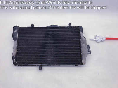 Honda Super Blackbird CBR1100 XX (2) 07' radiator cooler kuhler