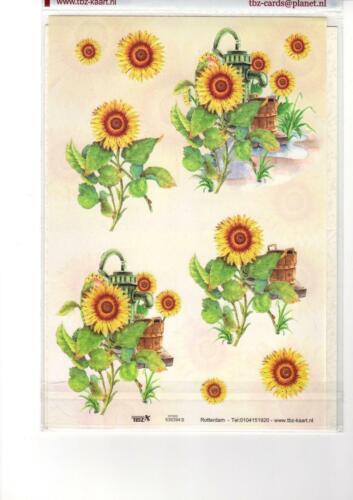 TBZ Kartenherstellung Set 5er-Packungen 3D Decoupage Blätter Karten und Umschläge Blumenmuster - Bild 1 von 5