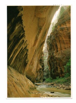 USA: Zion Nationalpark, Kolob Canyons, Foto David Muench (21-606)