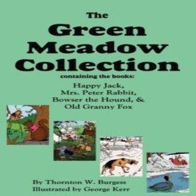 The Green Meadow Collection Happy Jack Mrs. Peter Rabbit Bowser t