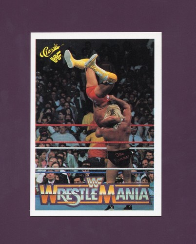 Donald Trump Ring Side 1990 Classic WWF Macho Man Greg the Hammer Valentine #50