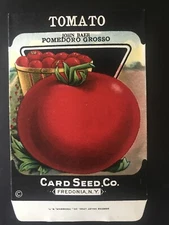 1920s Litho Antique Vintage Card Seed Co. Packet Pack Tomato John Baer Unused