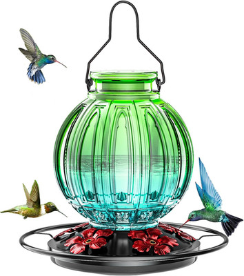 Glass Hummingbird Feeder for Outdoors Hanging, Bird Nectar Feeder with Perch & 5